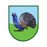 SV Edewechterdamm e.V.